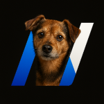 NovaNetzwerk