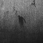 ⁄rotten Group Thumbnail