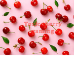toxic cherry gaming