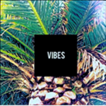 V I B E S
