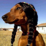 lakota groups