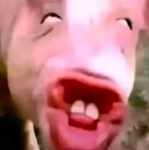 Pagamentoss