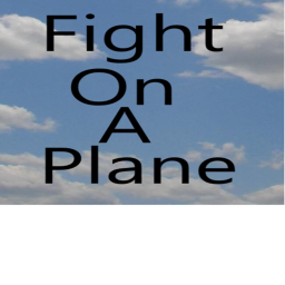 Fight on a plane *UPDATE*