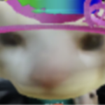 CAT's (probably cool) Group