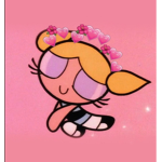 Kitty cat meow meow store