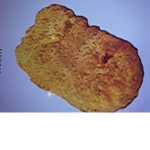 chicken nuggets..