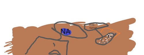 DOORS but worse (BACKROOMS UPDATE)