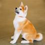 DoggyPlazFanClub