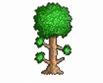 Terrarian Development