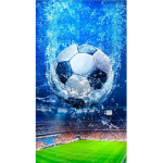 Extreme Soccer Fan Group