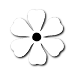 Blume Development Studio Community