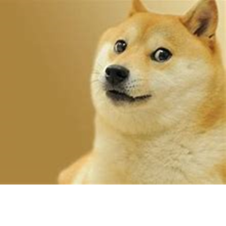 Mega doge Obby
