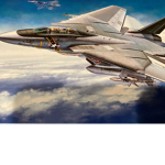 Tactical Fighter Commission