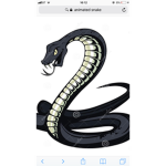 FC Snake