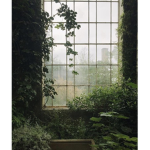 aesthetic bearss