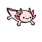 The Cool Axolotl Group.