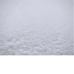 [new]SNOW부대!