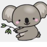 Bearry koala