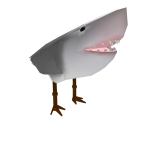 seagull shark