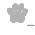 The Silver Paw clan
