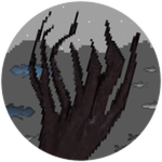 Kraken Defeated