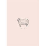 - Frank The Sheep -