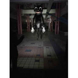 CARTOON  CAT