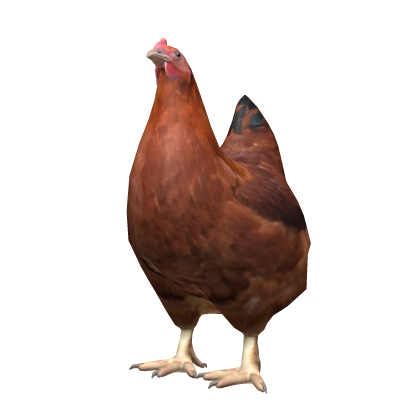 Roblox Item backbling rooster (code: chickenyay)