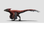 Pyroraptor fav group