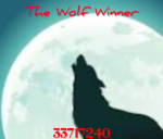 The Wolf Winner