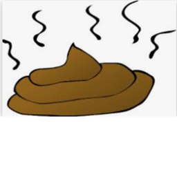CAPTURE THE POOP