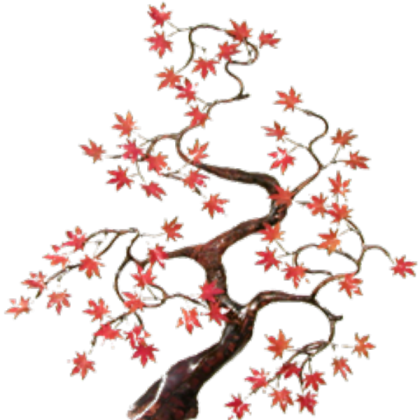 Japanese Maple (Transparent) Roblox decal
