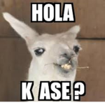 Las mariachis
