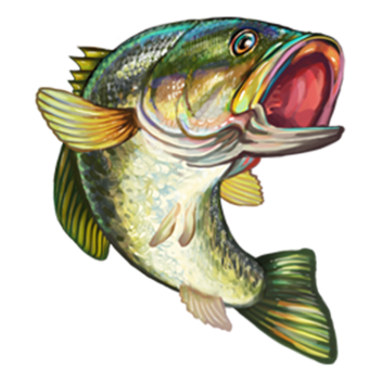 Fishing Online