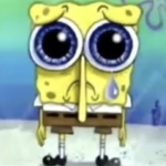 Sponge UGC’s