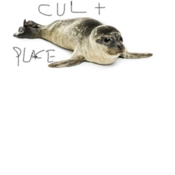 CULT PLACE