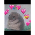TEAM CROQUETITAS LINDAS