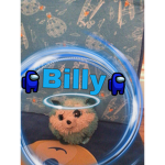 billynation