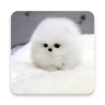 Sword Blox Online:Rebirth The Puppies