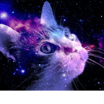 purple studio YT