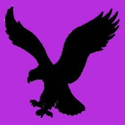 Shadow Eagle Studios Hangout