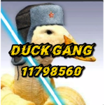 〴ducks crew