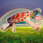 Turtle war!