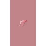 angii.fk