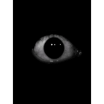 The Voidal