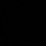Nilwax Team