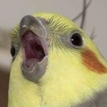 Soaring Productions