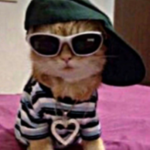 Coffee Cat / Fan page