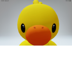 ducks fan club:D