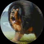 Give away group for friends